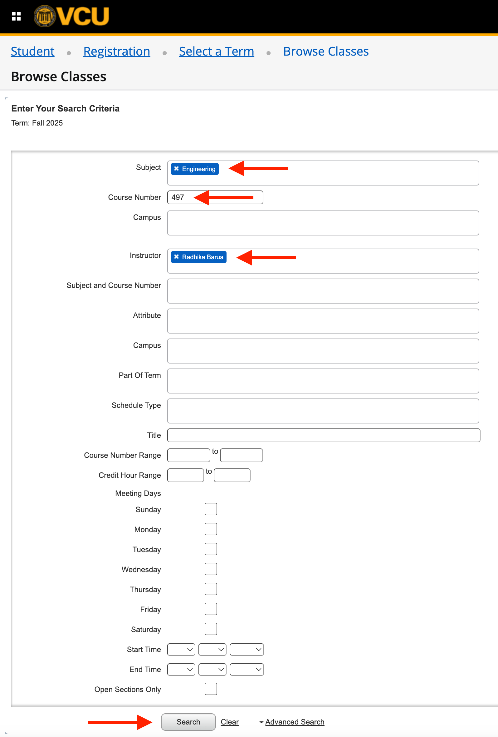 Advanced search details